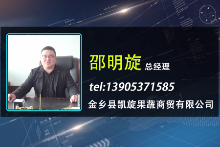 名企专访—金乡县凯旋果蔬贸易有限公司 ()