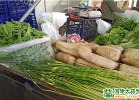 昆明：蒜薹价格每公斤下降20元 ()