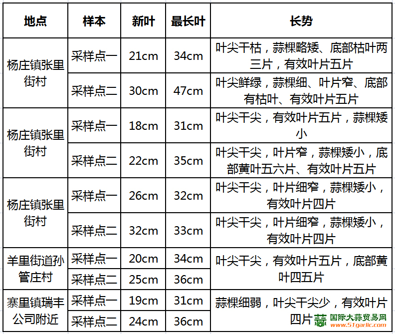 图片23