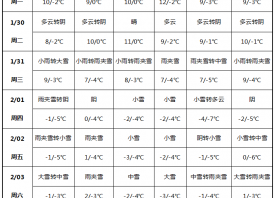 大范围雨雪来袭 蒜区大幅降温 ()