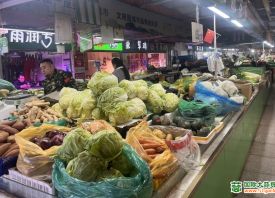 济南：蔬菜价格明显回落