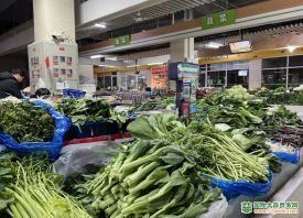 合肥：蔬菜供应充足 价格亲民