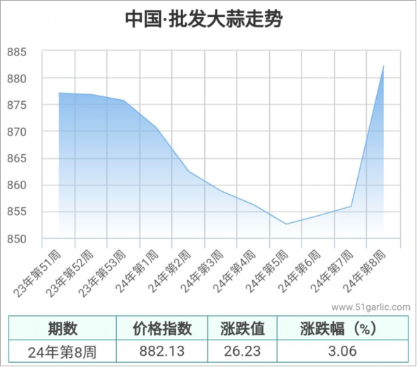 图片13